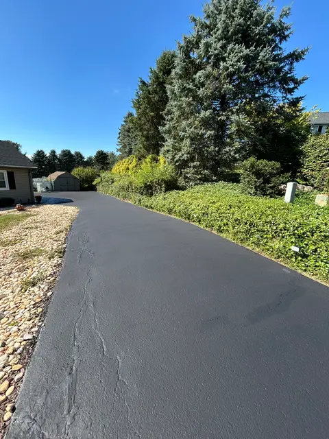 Long driveway bordered by evergreens with sealed surface cracks